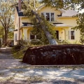 Is a tree falling on your house an act of god?