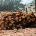 How does cutting down trees help the environment?