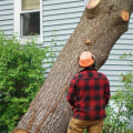 How much does it cost to have a tree removed in michigan?