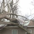 Can a tree break through a house?