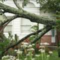 Who is responsible when a neighbor's tree falls in your yard pennsylvania?