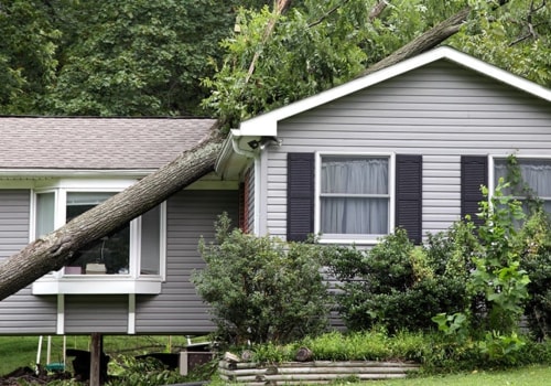 How common is it for trees to fall on houses?