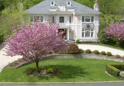 Tree Care Tips For Enhancing Curb Appeal