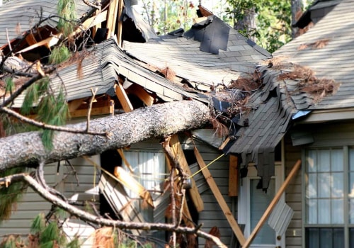 How likely is a tree to fall on house?