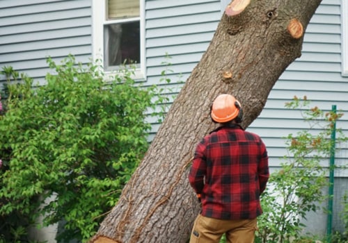 How much does it cost to have a tree removed in michigan?