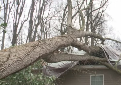 Can a tree break through a house?