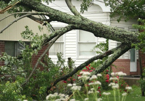 Who is responsible when a neighbor's tree falls in your yard pennsylvania?